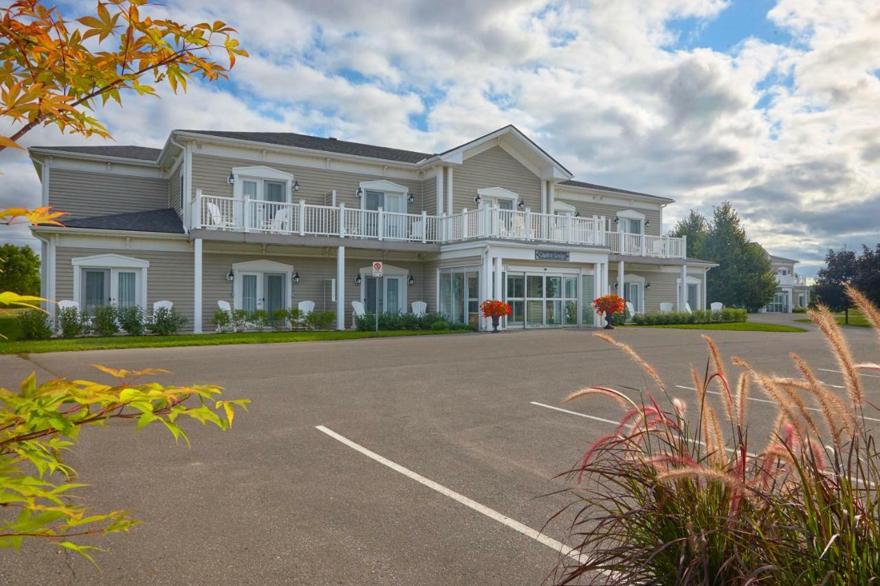 Hotel The Waring House Picton Zewnętrze zdjęcie